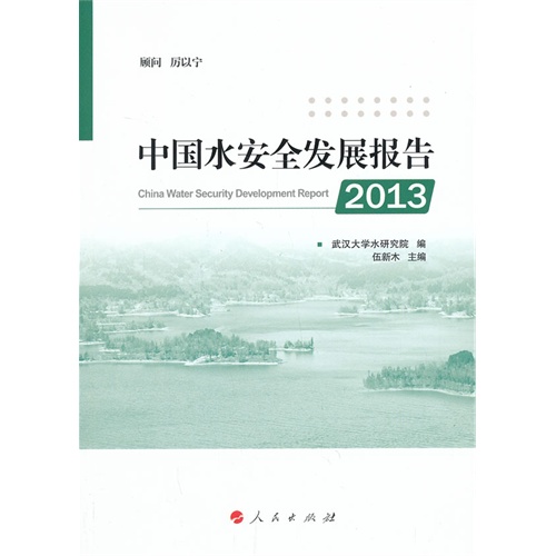 2013-中国水安全发展报告