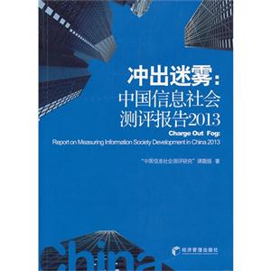 冲出迷雾:中国信息社会测评报告2013
