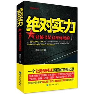 绝对实力:好秘书是这样炼成的:长篇时政小说