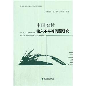 中国农村收入不平等问题研究