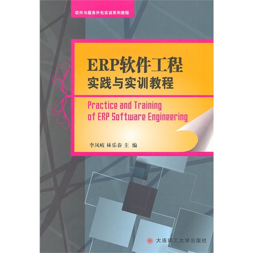 ERP软件工程实践与实训教程