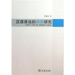 汉语语法的动态研究