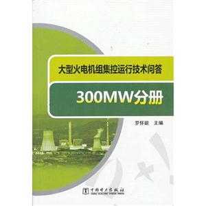 ͻ鼯мʴ  300MWֲ