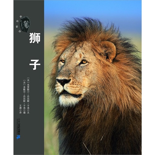 荒原兽王-狮子