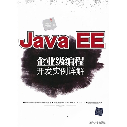 JavaEE企业级编程开发实例详解