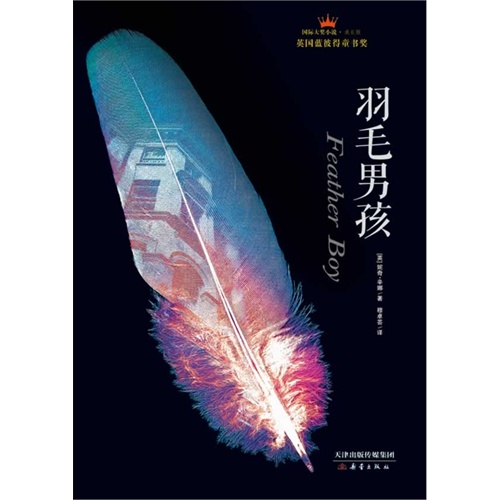 羽毛男孩-国际大奖小说.成长版