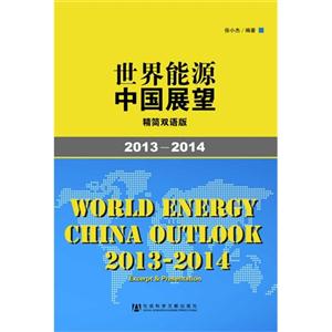 013-2014-世界能源中国展望-精简双语版"