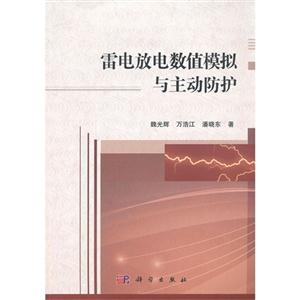 雷电放电数值模拟与主动防护