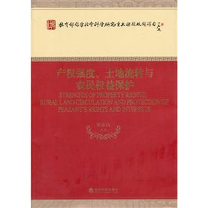 产权强度、土地流转与农民权益保护