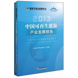 013-中国可再生能源产业发展报告"