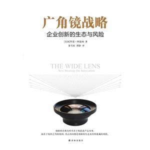 广角镜战略-企业创新的生态与风险