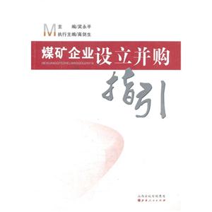 煤矿企业设立并购指引