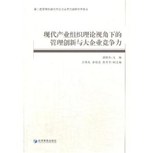 现代产业组织理论视角下的管理创新与大企业竞争力