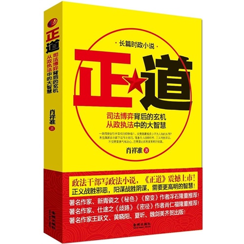 正道:司法博弈背后的玄机从政执法中的大智慧:长篇时政小说