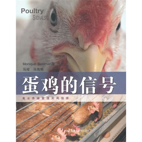蛋鸡的信号