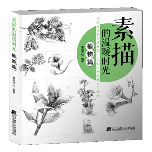 植物篇-素描的温暖时光