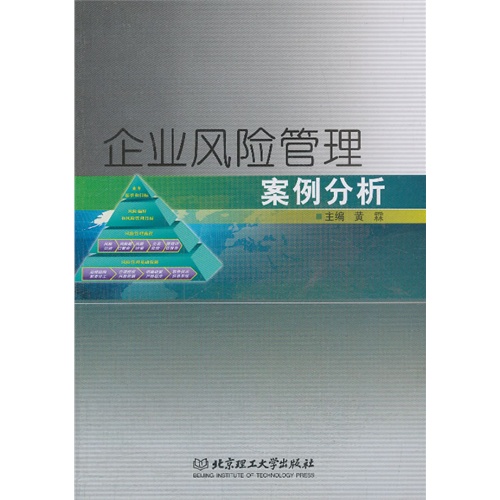企业风险管理案例分析