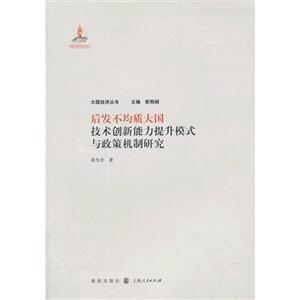 后发不均质大国技术创新能力提升模式与政策机制研究