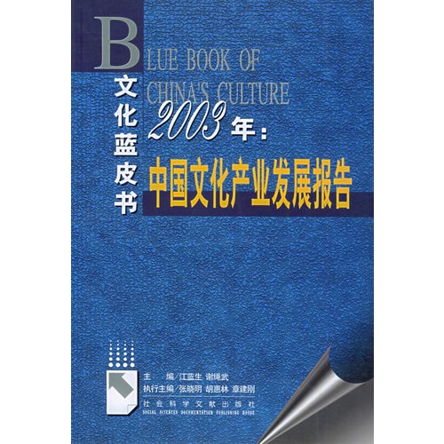 2003年:中国文化产业发展报告