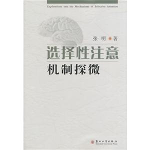 选择性注意机制探微