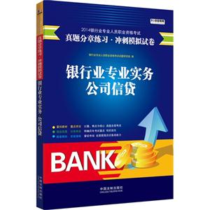 公司信贷-银行业专业实务