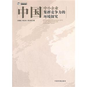 中国中小企业集群竞争力的环境探究