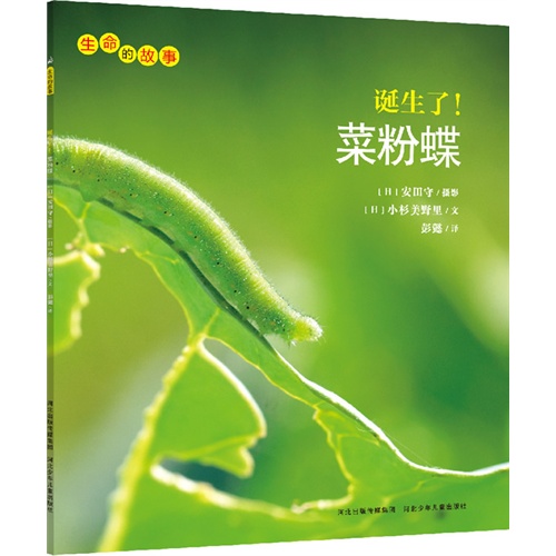 生命的故事:诞生了!菜粉蝶
