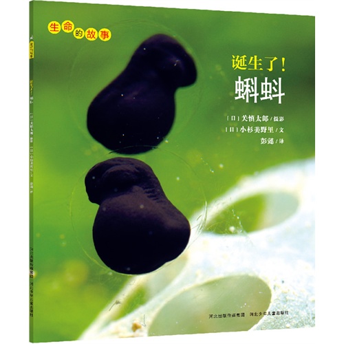 生命的故事:诞生了!蝌蚪