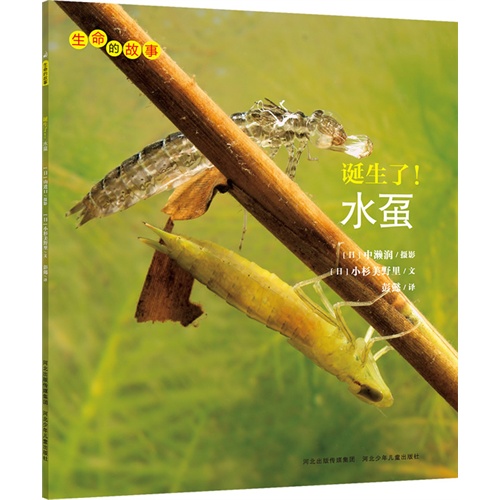 生命的故事:诞生了!水虿