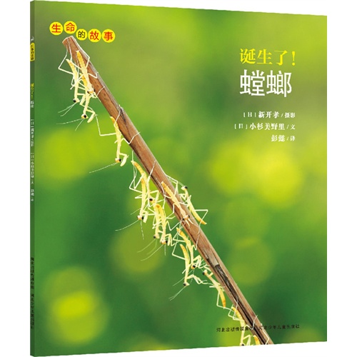 生命的故事:诞生了!螳螂