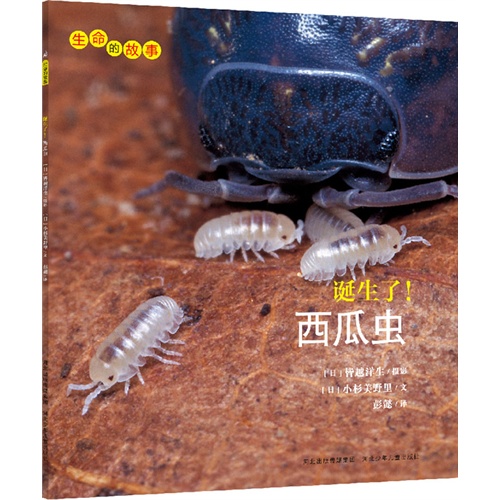 生命的故事:诞生了!西瓜虫