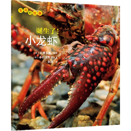 生命的故事:诞生了!小龙虾