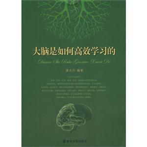 大脑是如何高效学习的
