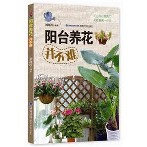 阳台养花并不难