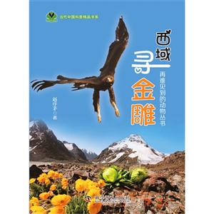 西域寻金雕