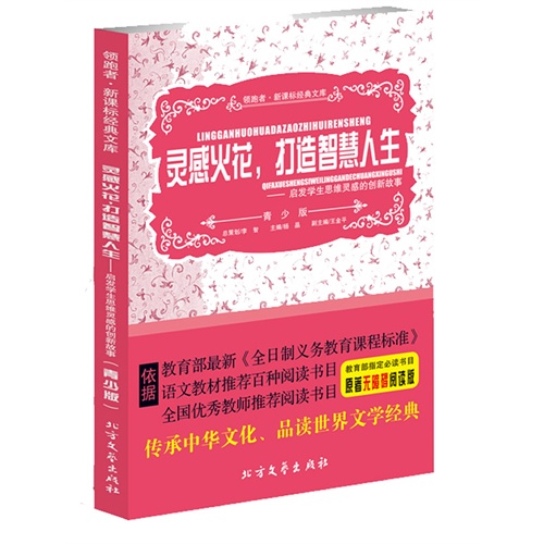 灵感火花.打造智慧人生-启发学生思维灵感的创新故事-原著无障碍阅读版-青少版