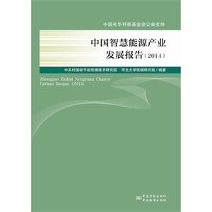 中国智慧能源产业发展报告(2014)
