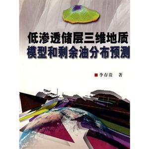 低渗透储层三维地质模型和剩余油分布预测