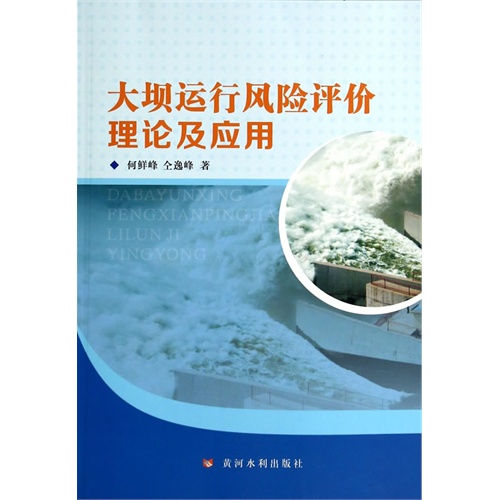 大坝运行风险评价理论及应用