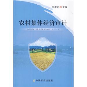 农村集体经济审计