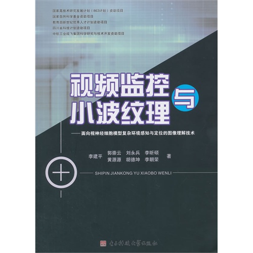 视频监控与小波纹理-面向视神经细胞模型复杂环境感知与定位的图像理解技术