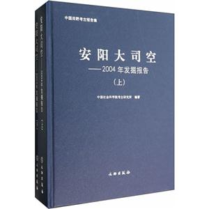 安阳大司空-2004年发掘报告-(上.下册)