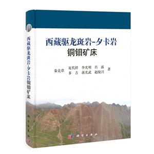 西藏驱龙斑岩-夕卡岩铜钼矿床