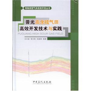 普光高含硫气田高效开发技术与实践