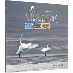 鸟类生活掠影