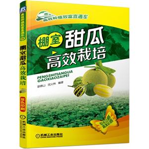 棚室甜瓜高效栽培