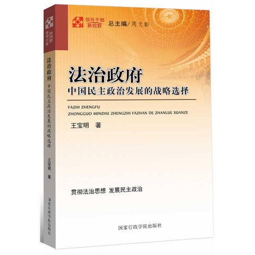 9-6法治政府中国民主政治发展的战略选择