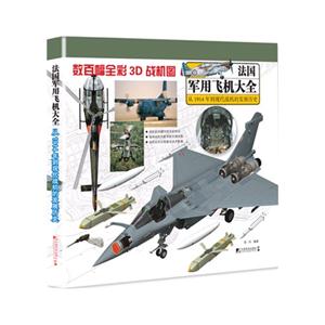 法国军用飞机大全-从1914年到现代战机的发展历史