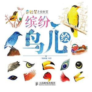 缤纷鸟儿绘-色铅笔手绘教室