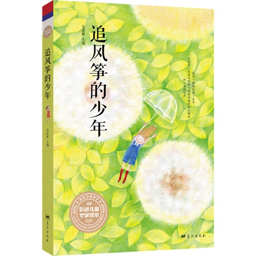 追风筝的少年-彩色儿童文学读本